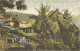 SIERRA LEONE - A SIDE STREET NEAR KROOTOWN ROAD - 1905 - Sierra Leone