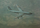 BE Nw4- APPAREIL DE RAVITAILLEMENT EN VOL DES AVIONS DE COMBAT - BOEING C 135 F - 1946-....: Ere Moderne