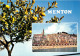 06-MENTON-N°1003-C/0337 - Menton