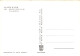 06-GOLFE JUAN-N°1003-E/0203 - Andere & Zonder Classificatie