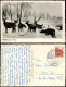 Ansichtskarte  Wildfütterung Im Harz, Winterkarte 1967  Gel. Stempel Hahnenklee - Non Classés