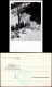 Ansichtskarte Saalbach-Hinterglemm Dr.-Karl-Renner-Haus, Saalbach 1965 - Other & Unclassified