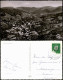 Ansichtskarte Bühlertal Luftbild 1961 - Buehlertal
