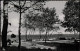 Ansichtskarte Timmendorfer Strand Strand Blick Zur Ostsee 1955 - Andere & Zonder Classificatie