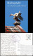 Tiere: Störche, RÜHSTÄDT Elbe Das Storchenreichste Dorf Deutschlands 2002 - Vögel