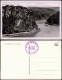 St. Goarshausen Loreleyfelsen Rhein 1955  Borstempel Dampfer Rheingold - Loreley