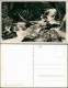Ansichtskarte Ramsau Bei Berchtesgaden Im Zauberwald 1961 - Other & Unclassified