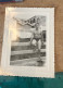 Réal Photo - Pin Up  Plage  Jeune Homme Torse Nu - Pin-ups