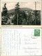 Ansichtskarte Braunlage Panorama-Ansicht, Blick Zum Wurmberg Im Harz 1956 - Braunlage