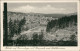 Ansichtskarte Braunlage Panorama-Ansicht Blick Kurpark Und Achtermann 1951 - Braunlage