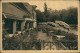 CPA Senonches Maison Coste HOTEL DE LA FORET 1930 - Autres & Non Classés