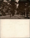 Postcard Southampton THE AVENUE, SOUTHAMPTON, Allee Straße 1920 - Altri & Non Classificati