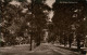 Postcard Southampton THE AVENUE, SOUTHAMPTON, Allee Straße 1920 - Altri & Non Classificati