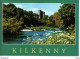 IRLANDE Ireland Kilkenny Castel John Hinde Dublin N°2 53 B VOIR DOS - Kilkenny