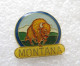 PIN'S   MONTANA   BISON - Tiere