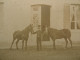 Photo Cdv Courtine (?) à Neufchatel -  Jeune Garçon Tenant 2 Poneys, Veste à Brandebourg, Cheval Ca 1865 L679B - Oud (voor 1900)