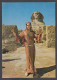 114553/ Egypt, The Ballerina Farida Fahmy At The Sphinx Of Giza - Autres & Non Classés