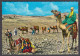 127372/ Camel Caravan In The Desert - Sonstige & Ohne Zuordnung
