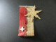 Old Badge Schweiz Suisse Svizzera Switzerland - Winterhilfe 1944 1945 - Non Classificati