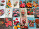 Dèstockage - Flowers,Blumen,Flores.Lot Of 90 Postcards.#52 - Flowers