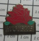 813F Pin's Pins / Beau Et Rare / AUTRES / PRENOM HUGUETTE FLEUR ROUGE - Other & Unclassified