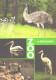 Birds, Krakow Zoo, Emu, Dromaius Novahollandiae, Pelican, Pelecanus Onocrotalus, Grus Sntigonae, Branta Leucopsis - Pájaros
