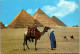 50737 - Ägypten - Giza , Gizeh , Egypt , The Giza Pyramids - Gelaufen 1975 - Gizeh