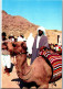 50481 - Tunesien - Le Sud , Camel , Kamel - Nicht Gelaufen  - Tunisia