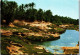 50447 - Tunesien - Gabes , L'Oasis - Gelaufen 1983 - Tunisia