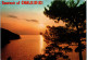 51206 - Griechenland - Chalkidiki , Halkidici , Sunset - Gelaufen 1982 - Grèce