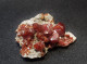 Delcampe - Vanadinite On Matrix ( 4 X 3.5 X 2 Cm ) - Bou Almaden - Morocco - Minerali