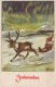 BABBO NATALE Natale Vintage Cartolina CPSMPF #PAJ444.A - Santa Claus