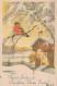 Neujahr Weihnachten VOGEL Vintage Ansichtskarte Postkarte CPSMPF #PKD334.A - Neujahr