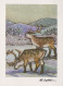Buon Anno Natale CERVO Vintage Cartolina CPSM #PAU733.A - Neujahr