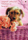 DOG Animals Vintage Postcard CPSM #PAN777.A - Chiens