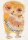 BIRD Animals Vintage Postcard CPSM #PAN262.A - Pájaros