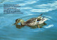 BIRD Animals Vintage Postcard CPSM #PAN302.A - Pájaros