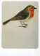 PÁJARO Animales Vintage Tarjeta Postal CPSM #PAN198.A - Pájaros