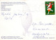 OISEAU Animaux Vintage Carte Postale CPSM #PAN075.A - Birds
