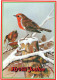 PÁJARO Animales Vintage Tarjeta Postal CPSM #PAN018.A - Birds