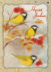 VOGEL Tier Vintage Ansichtskarte Postkarte CPSM #PAM865.A - Pájaros