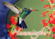 OISEAU Animaux Vintage Carte Postale CPSM #PAM704.A - Birds