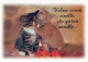 GATO GATITO Animales Vintage Tarjeta Postal CPSM #PAM567.A - Cats