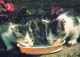 CAT KITTY Animals Vintage Postcard CPSM #PAM391.A - Cats