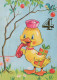 OISEAU Animaux Vintage Carte Postale CPSM #PBR602.A - Birds