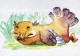 UCCELLO Animale Vintage Cartolina CPSM #PBR546.A - Pájaros