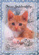 CAT KITTY Animals Vintage Postcard CPSM #PBQ858.A - Gatos