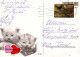 DOG Animals Vintage Postcard CPSM #PBQ713.A - Chiens
