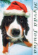 PERRO Animales Vintage Tarjeta Postal CPSM #PBQ659.A - Chiens