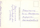 BUTTERFLIES Animals Vintage Postcard CPSM #PBS455.A - Mariposas